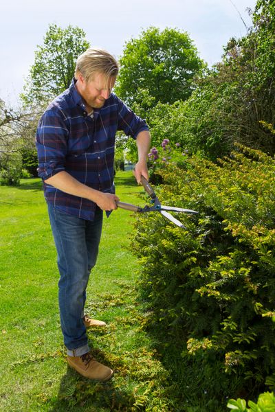 Ножиці для живоплоту Gardena NatureCut (12300-20.000.00) 12300-20.000.00 фото