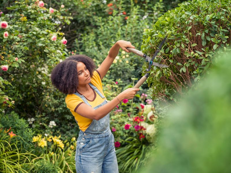 Ножиці для живоплоту Gardena NatureCut (12300-20.000.00) 12300-20.000.00 фото