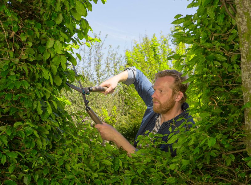 Ножиці для живоплоту Gardena NatureCut (12300-20.000.00) 12300-20.000.00 фото