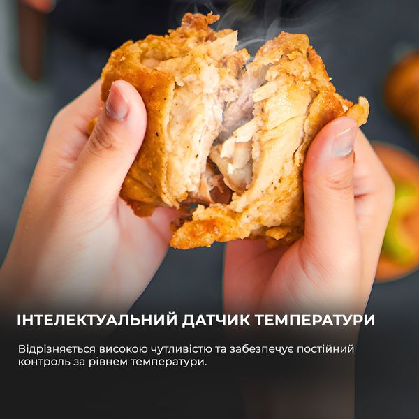 Мультипіч Deerma Air Fryer KZ100 (DEM-KZ100) DEM-KZ100 фото