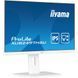 IIYAMA 23.8" 16:9 IPS РК монітор, 1920х1080, 1 мс (MPRT), 100 Гц, Adaptive Sync, 1xHDMI 1.4/1xDP 1.2/2xUSB (XUB2497HSU-W2)