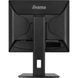 IIYAMA 19" 5:4 TN РК монітор, 1280х1024, 3 мс (GTG), 250 кд/м2, 75 Гц, 1xHDMI/1xDP, SP 2x2 Вт, HAS (B1980S-B1)
