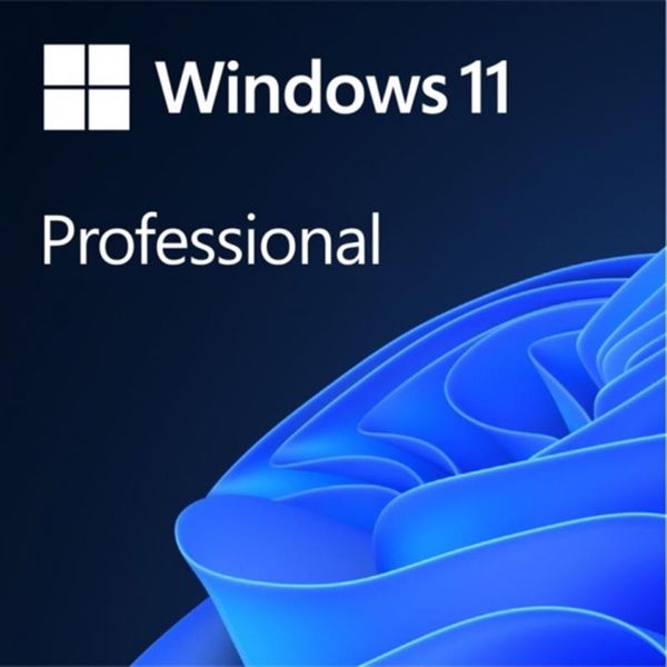 Програмне забезпечення Microsoft Windows 11 Professional 64Bit Eng Intl 1ПК DSP OEI DVD (FQC-10528) 378254 фото