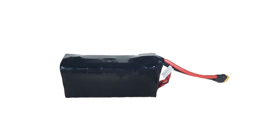 FPV Battery Li_ion 6S2P Molicel P42A 8000mAh 22.2V 64A/120A 177WH "CH" id_45560 фото